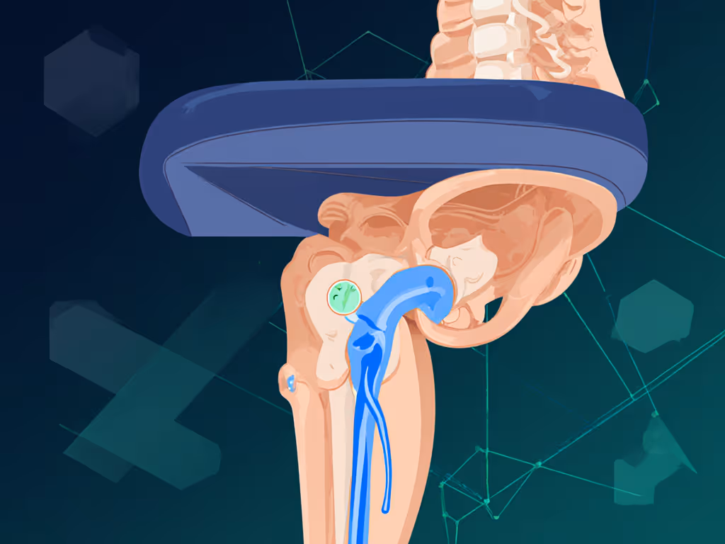 seat_depth_anatomy_for_sciatica_relief